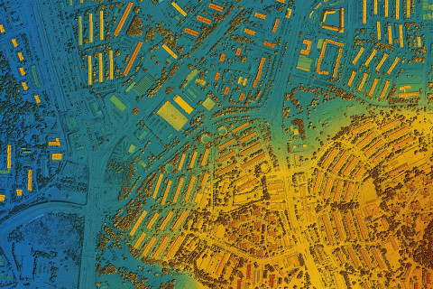 A colored map. 