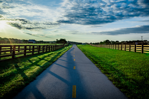 Road with bright green grass on each side, with a cloudy sky above the road.